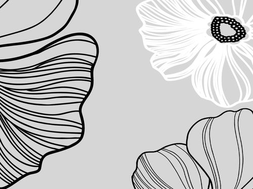 花朵鮮花墻繪無框畫 點亮唯美家居的藝術裝飾